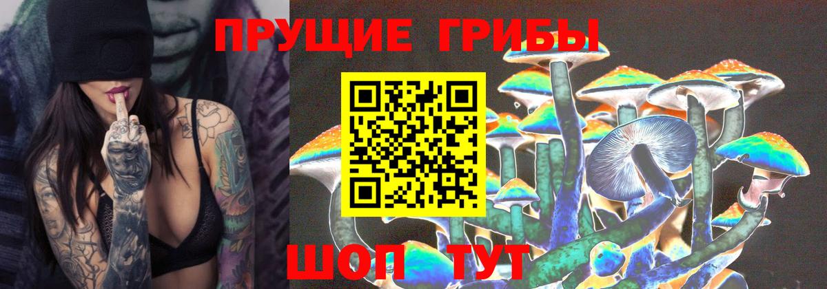 Биробиджан  Псилоцибиновые грибы Cubensis  Вход с VPN 