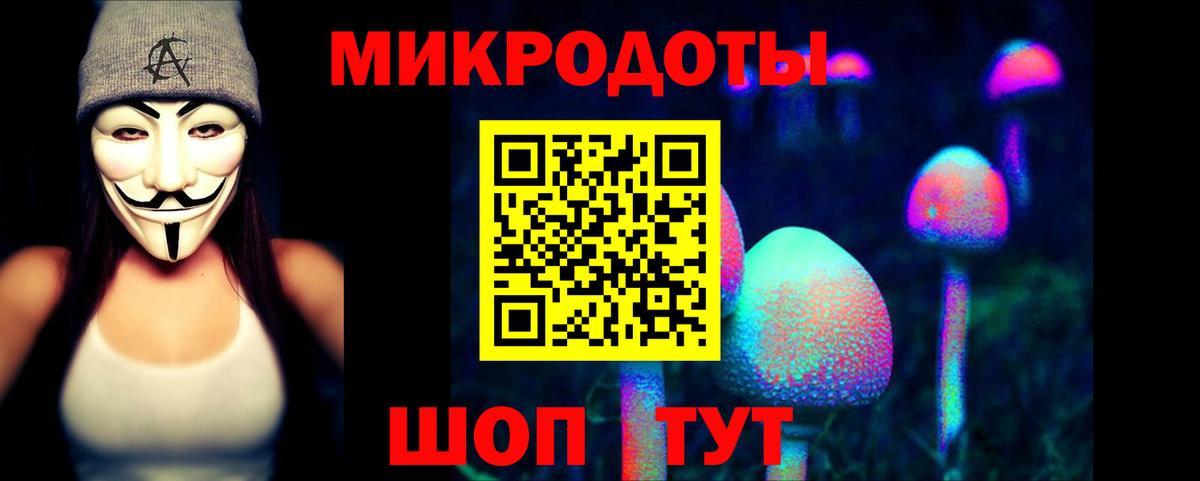 Псилоцибиновые грибы мицелий Биробиджан